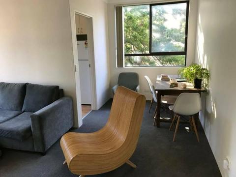 Green, light, airy 1 bedroom unit in Coogee