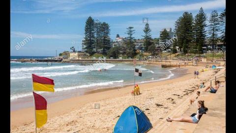 Dee Why Beach - 18 August to 17 Sept 2019