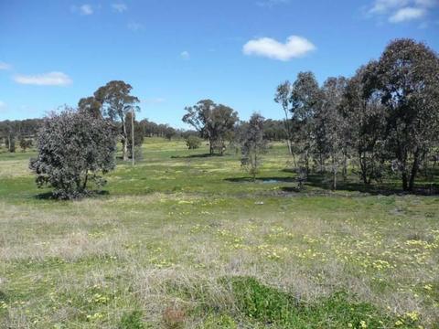 700 Acres Property near Manildra NSW