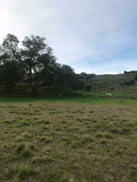 8 acres Farm land for lease Melton—35 kilometres north west Melbourne