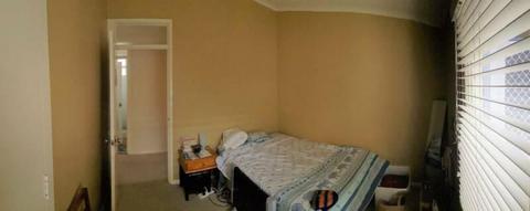 free room in shared house in Downer, near dickson shops