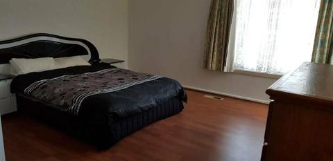 Room for rent with en-suite in Curtin