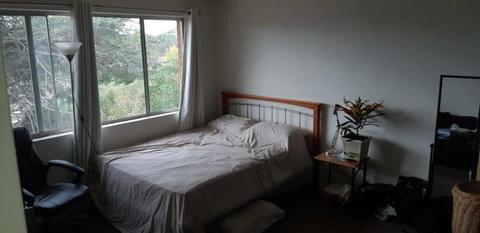 Large room in Red Hill Sharehouse
