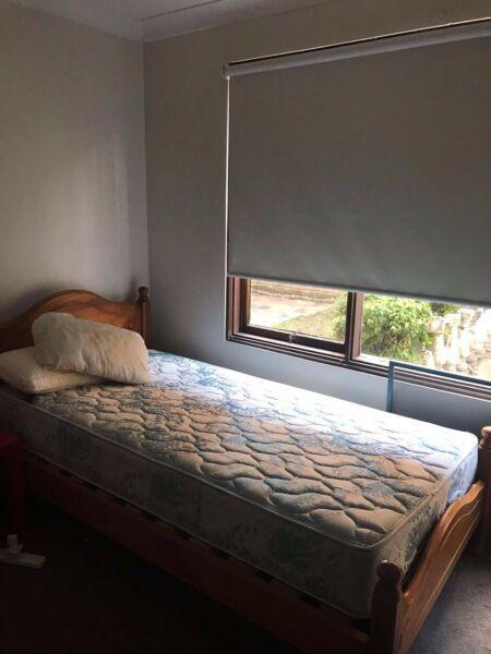 BARGAIN FOR THIS WINTER SHARE ROOM FOR 150$ IN MANLY VALE