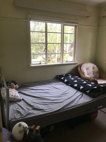 Single Room available for female $550 plus bills at box hill north