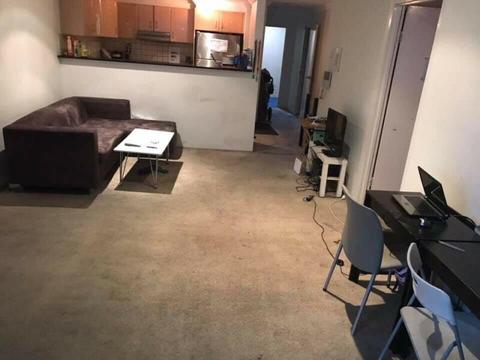 Need Tidy International Males & Females share separate bedroom
