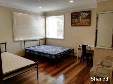 Shared room for two! Available Now! Bondi Junction!