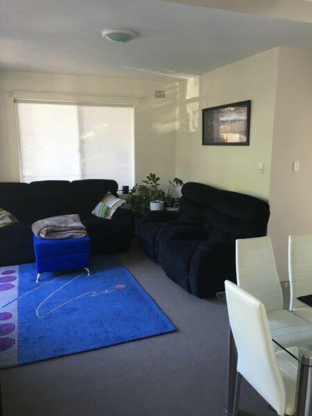 LARGE SUNNY ROOM IN QUIET STREET IN ROSE BAY