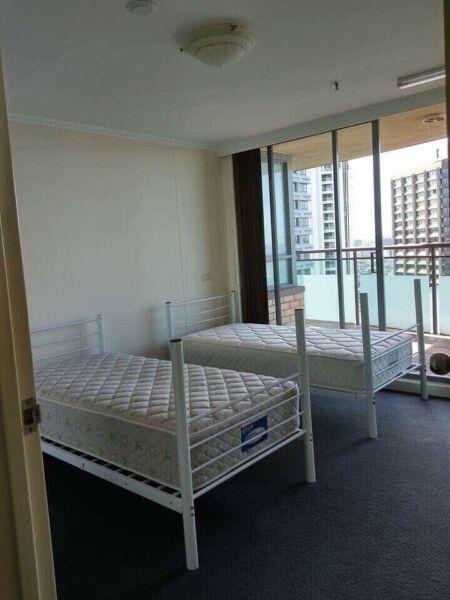 Hype Park Sydney CBD-1 or 2 sharemates wanted for sharing double room