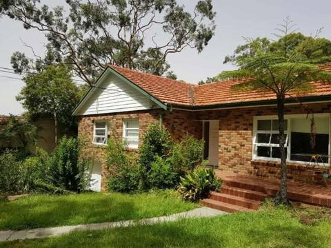 North Epping NSW - Nice big house has a single room ($170 /week)