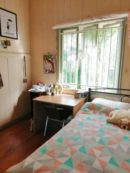 Spacious room in friendly Dutton Park house share