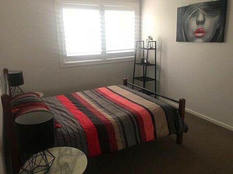 Large room for rent
