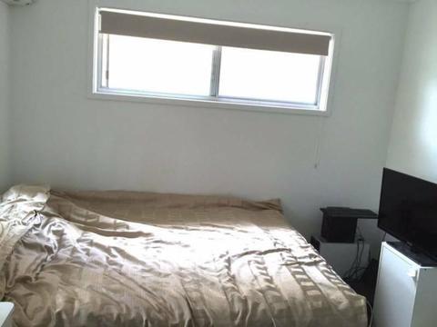 Newly Renovated Room for Rent $145