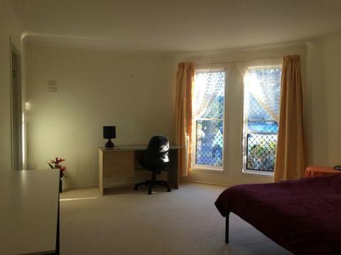 Near Bond Uni : a single room and a master bedroom available now