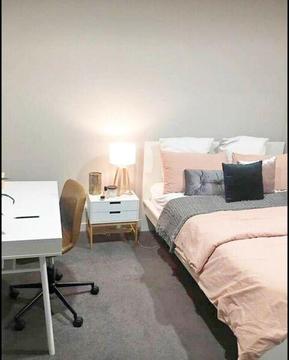 Room for rent in CBD