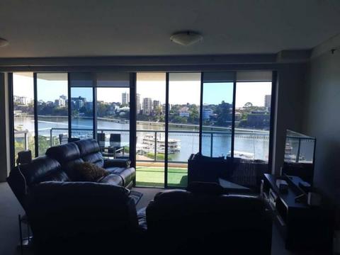 Room in Riverside Apartment in Kangaroo Point
