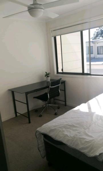 Room near University of Sunshine Coast
