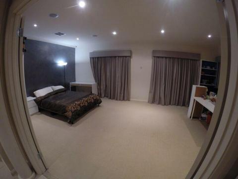 BIG spacious room in Mawson Lakes