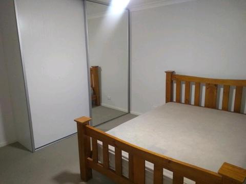 Wayville - huge bedroom for rent