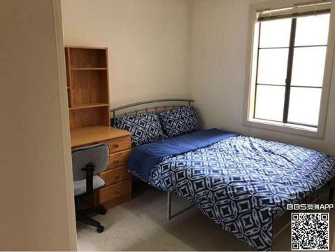 short term unisa mawson lakes campus double bedroom available