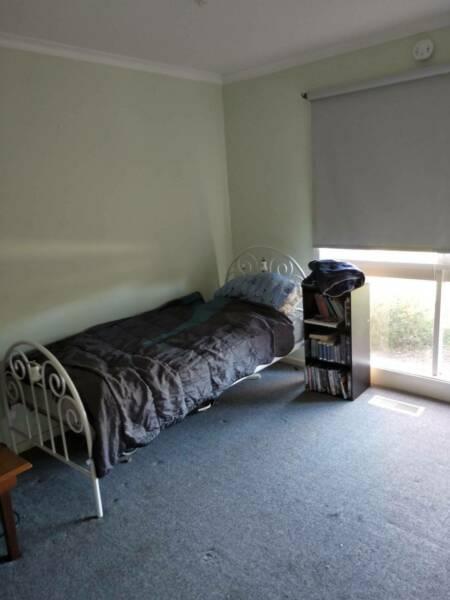 Room for Rent Croydon