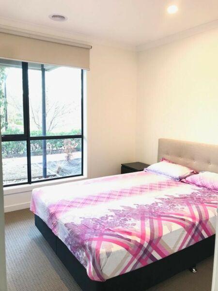 Fully furnished room available for rent in Highlands (Cragieburn)
