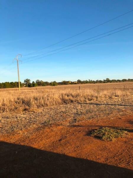 Block of land in Gladstone, South Australia