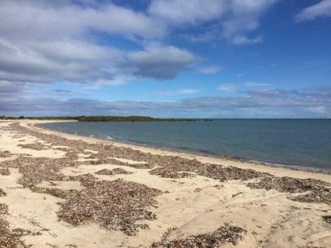 Farm Land, Ocean side, HWY Frontage. Water Available. Lots of Acres!