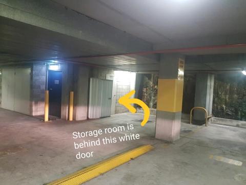 Bondi Junction Secure car park spot with storage room/garage