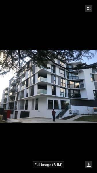 Kingston 2bedrooms apartment for rent