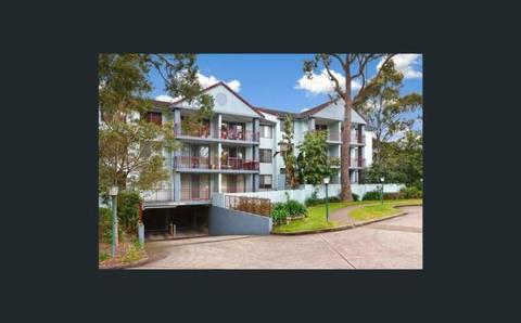 Lease Transfer - Large Two Bed Unit Within Walking Distance to MQ UNI