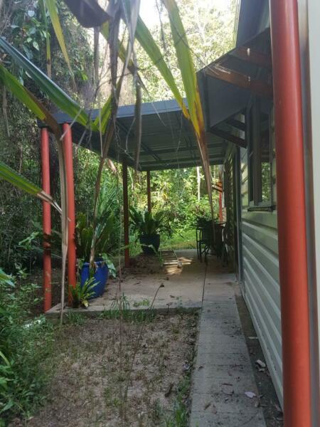 Rain Forest Cabin for Rent