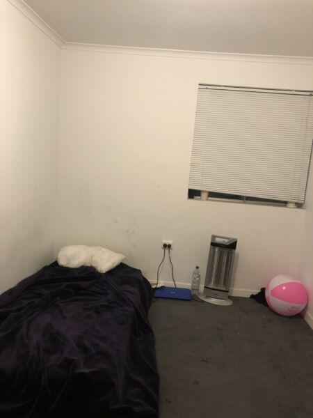 Room for rent in north Adelaide