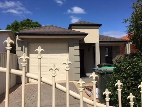 8A Shalford Tce, Campbelltown to rent