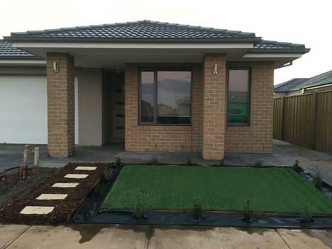 Brand New Family Home For Rent - Thornhill Park, Rockbank