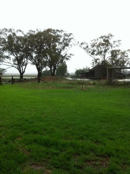 GILGAI Hermidale, NSW 10,425.5 ac - $2,500,000 without agent