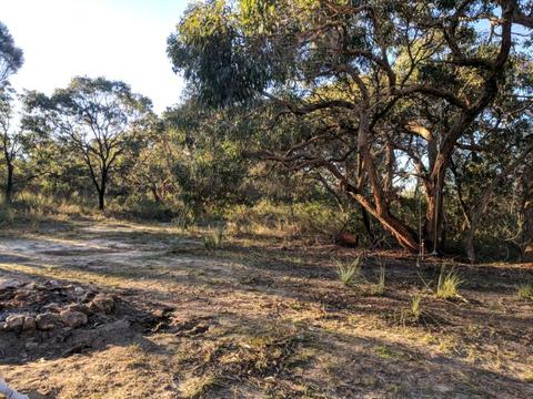 3000m2 Land and tinyhomes 20 minutes from Robe Centre