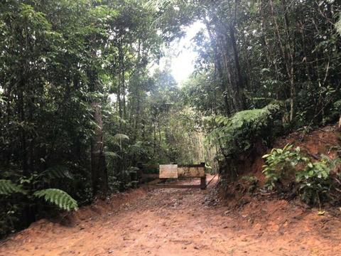 200 acres of rainforest in Butchers Creek Qld