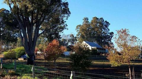 Country home with income potential - Bridgetown WA