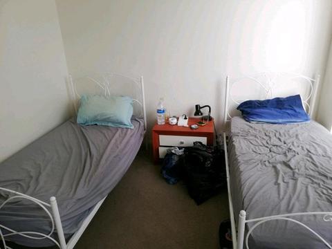 Room share in Lidcombe $120