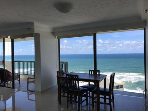 Great apartment in Surfers Paradaise (shared room)