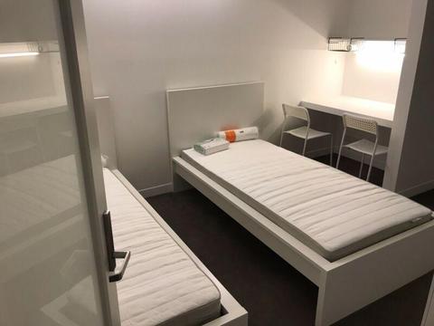 2 female shareroom in Melbourne CBD for rent