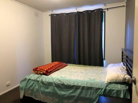 Room available for rent in Mulgrave (female only)
