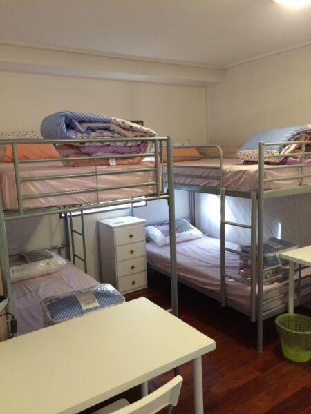 CBD share room available for male