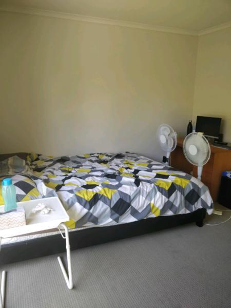 Room share for rent in Rosanna