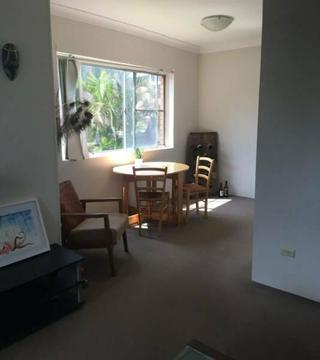 Short term rent, Coogee