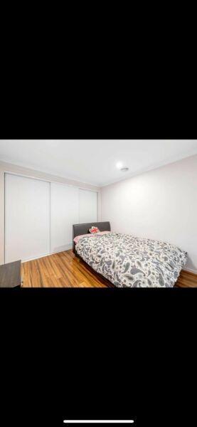 One bedroom for rent in Ngunnawal area