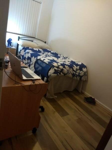 Room for rent in East maitland