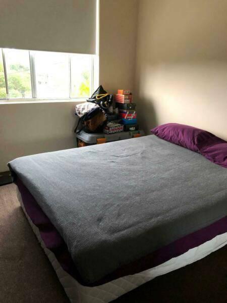 Large room available in Coogee