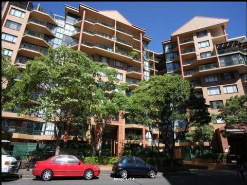 $205 pw ONLY for a PRIVATE sun room in Pyrmont